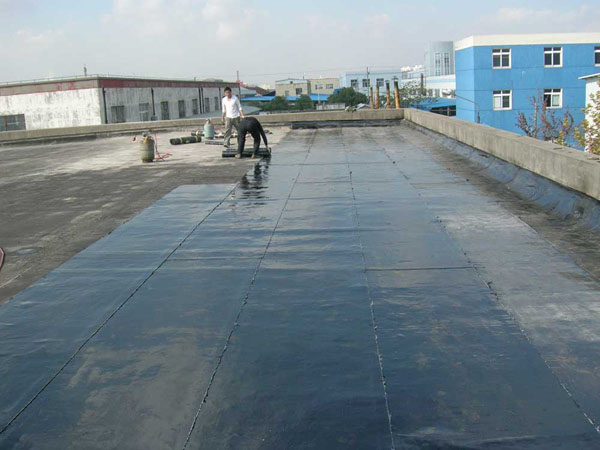 ���̰���