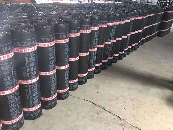 耐根穿刺SBS防水卷材